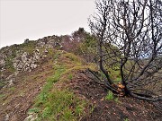 46 L'incendio ha bruciato anche in cresta Corno Zuccone
